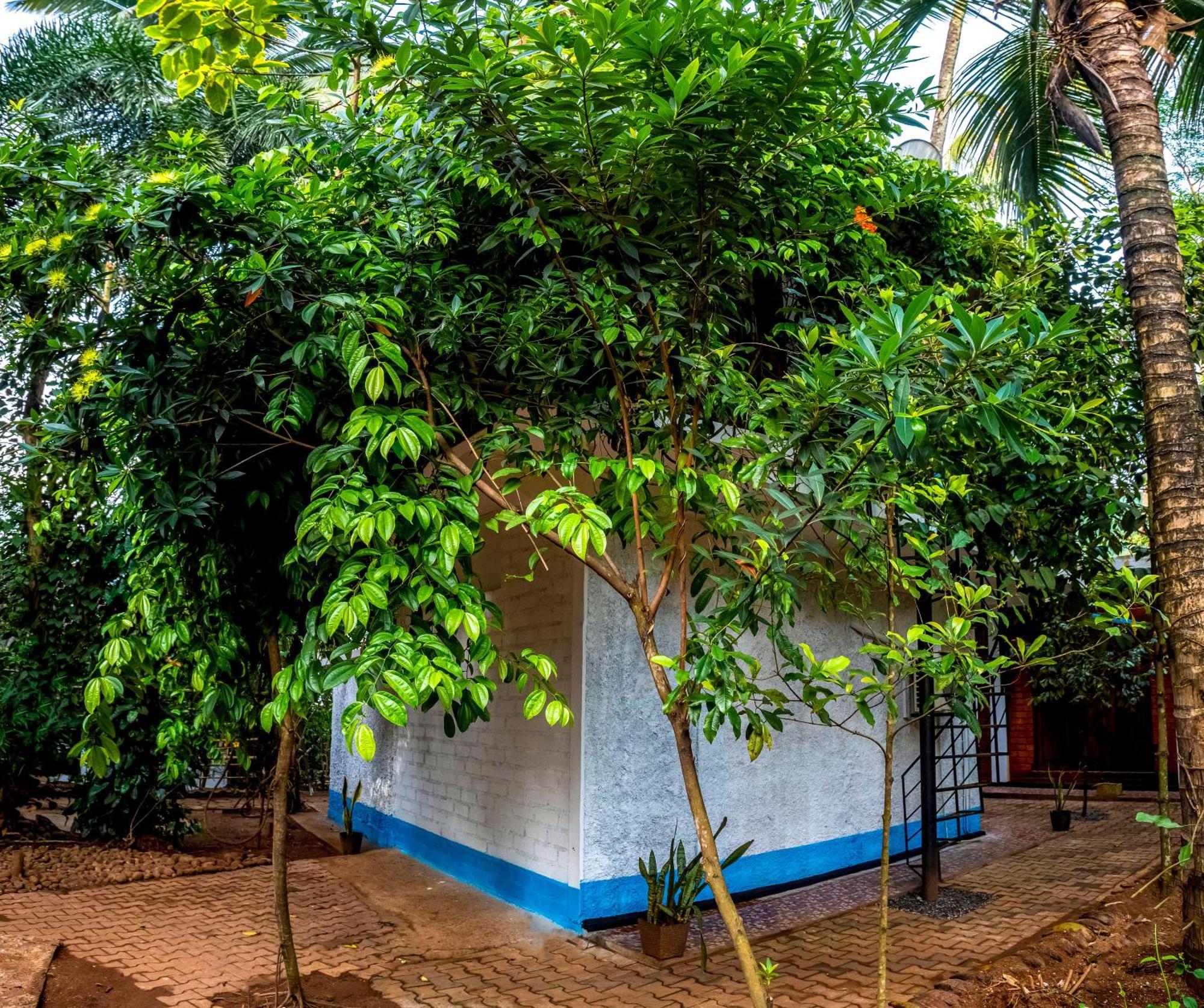 Kawudupelella Jays Place Matale מראה חיצוני תמונה